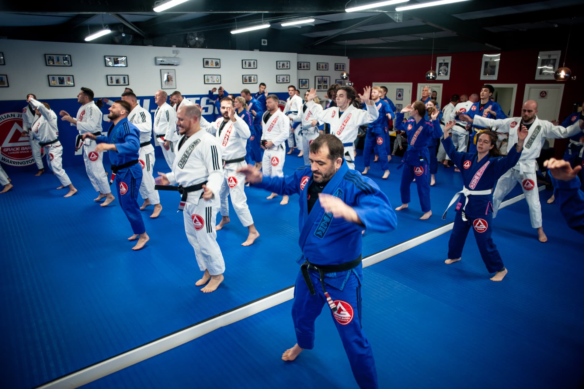 We are Gracie Barra image
